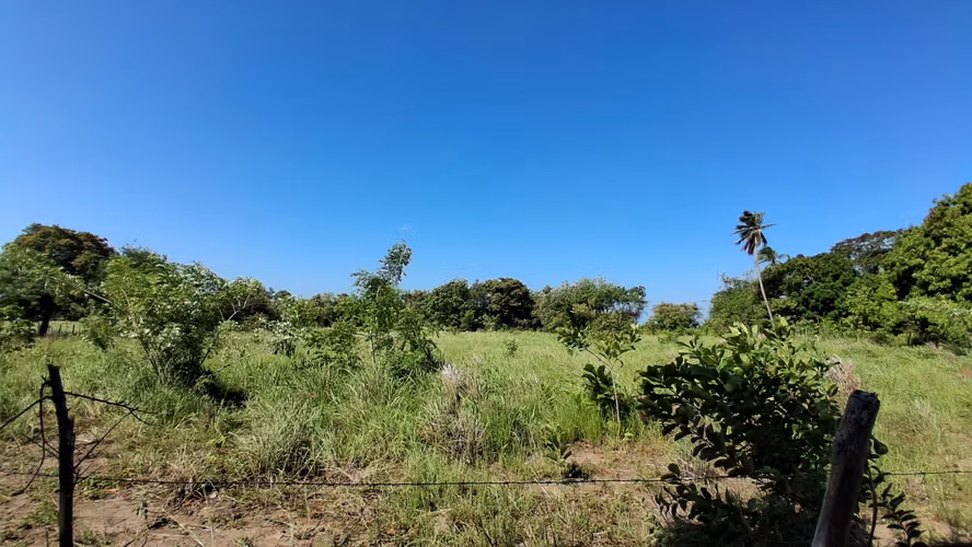 Terreno en El Chiru, 3200 m, Cercado. $60,000 - Imagen 6