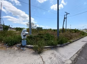 Rio Hato. Terreno enfrente a la interamericana 13699mts $958,900.00neg - Imagen 5