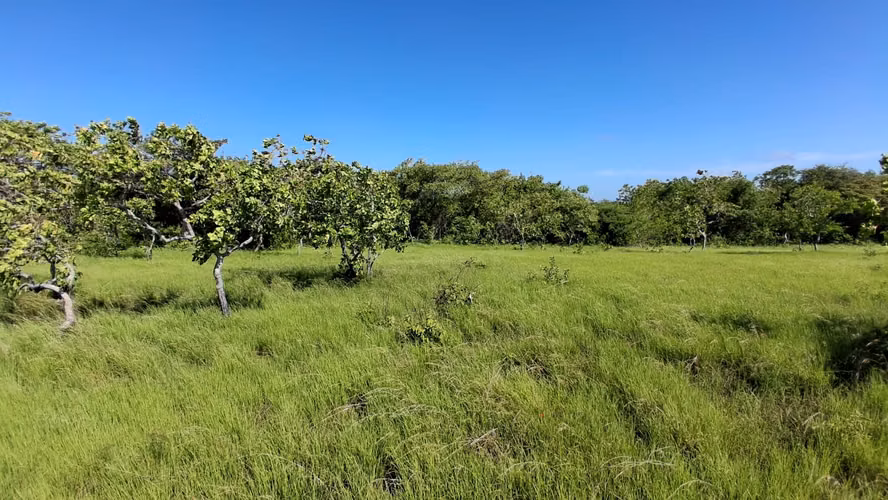 El Espino, Anton 43H Tituladas $394,000.00 - Imagen 5