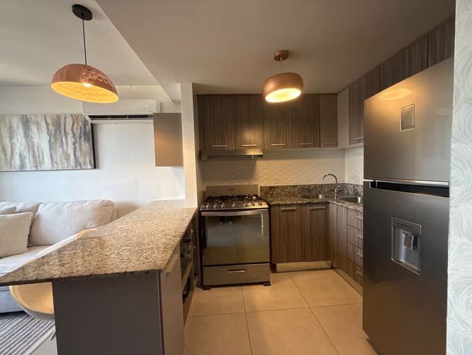 PH GREENWOOD TOWERS - REMODELADO - LINEA BLANCA - Imagen 4