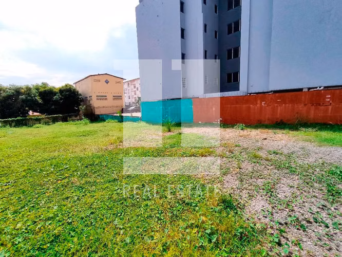 Terreno de 1000mts en Parque Lefevre - Imagen 3