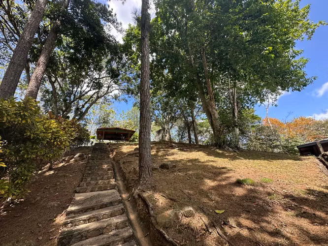 VENDO Finca en Cáceres Arraiján - Imagen 4
