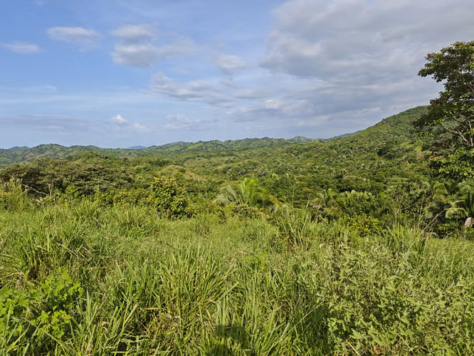 Vendo 214 HECTAREAS EN SONA VERAGUAS - Imagen 17