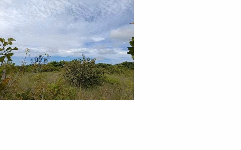 Sea Cliff. Terreno 2200mts servido $105,000.00neg - Imagen 4