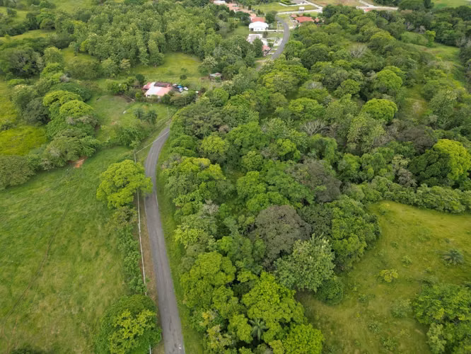 TERRENOS EN VENTA PARA INVERSIÓN EN DAVID