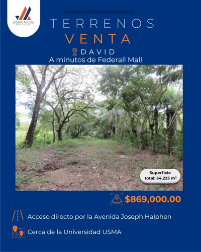 TERRENOS EN VENTA PARA INVERSIÓN EN DAVID - Imagen 6