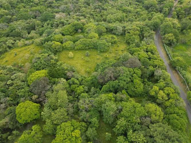 TERRENOS EN VENTA PARA INVERSIÓN EN DAVID - Imagen 4