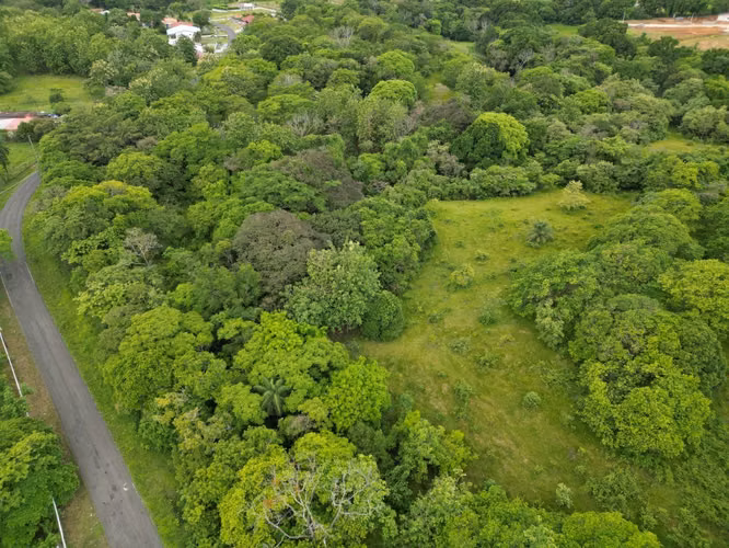 TERRENOS EN VENTA PARA INVERSIÓN EN DAVID - Imagen 3