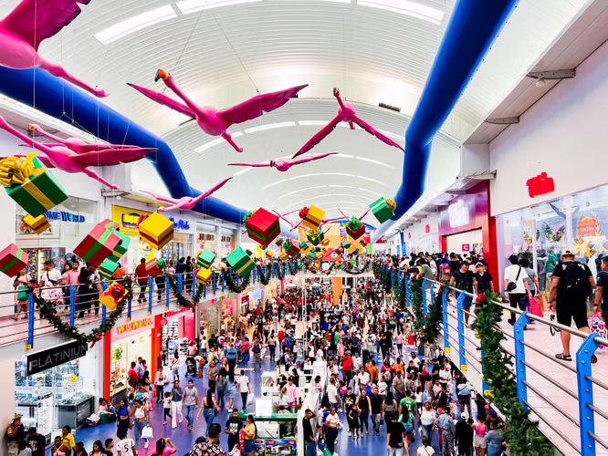 LOCALES EN VENA EN ALBROOK MALL - Imagen 9