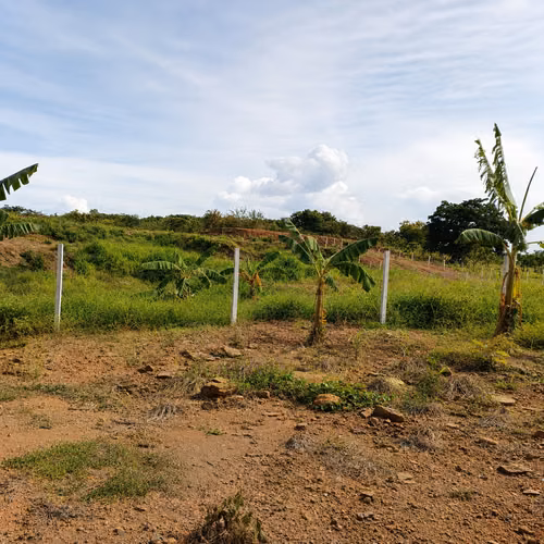 VENDO TERRENO TITULADO EN CHURUBÉ ARRIBA, EL CAÑO, COCLÉ | NATURALEZA Y VISTA A MONTAÑAS - Imagen 6