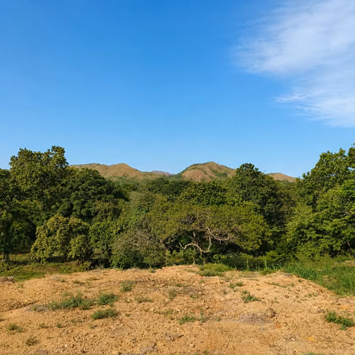 VENDO TERRENO TITULADO EN CHURUBÉ ARRIBA, EL CAÑO, COCLÉ | NATURALEZA Y VISTA A MONTAÑAS - Imagen 3
