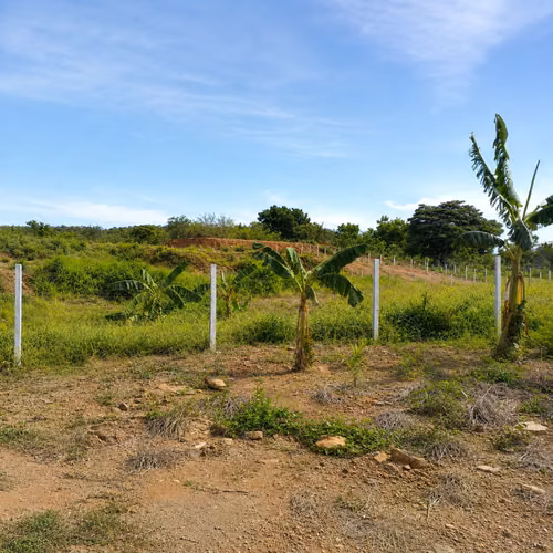 VENDO TERRENO TITULADO EN CHURUBÉ ARRIBA, EL CAÑO, COCLÉ | NATURALEZA Y VISTA A MONTAÑAS - Imagen 8