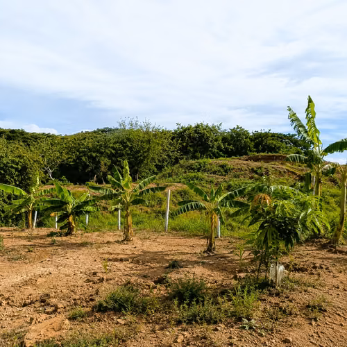 VENDO TERRENO TITULADO EN CHURUBÉ ARRIBA, EL CAÑO, COCLÉ | NATURALEZA Y VISTA A MONTAÑAS - Imagen 7