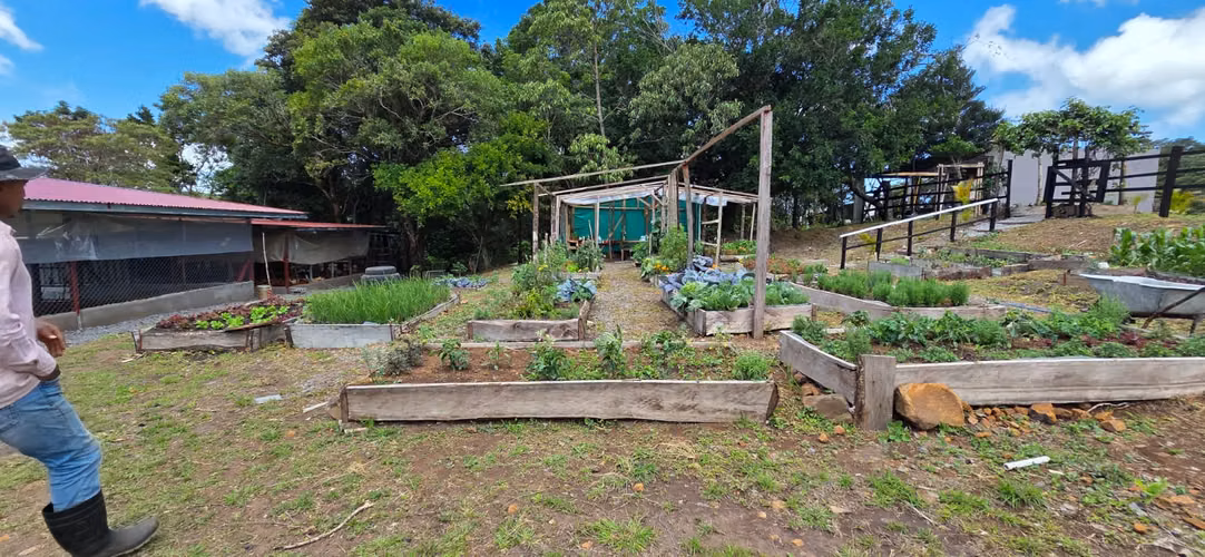 VENTA TERRENO CHIRIQUI - Imagen 16