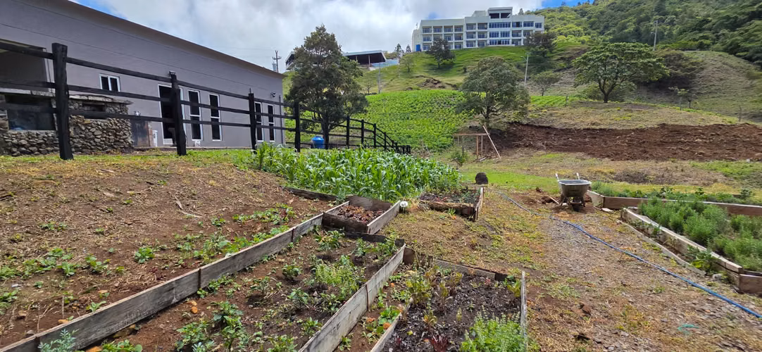 VENTA TERRENO CHIRIQUI - Imagen 12