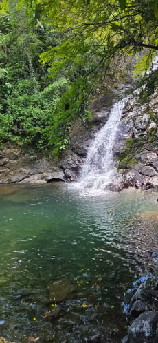 VENTA TERRENO CHIRIQUI - Imagen 4