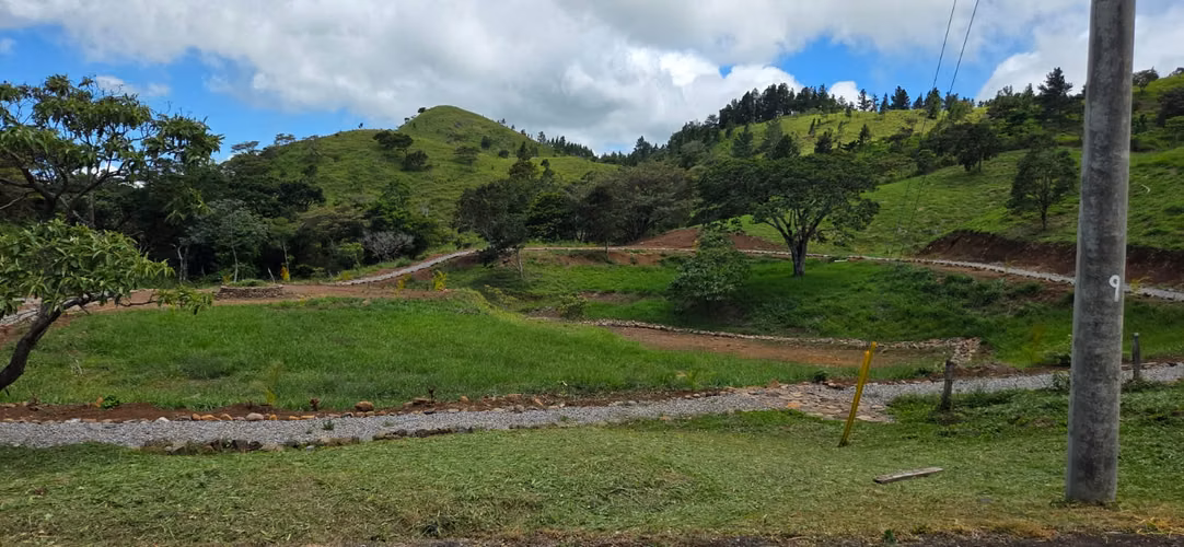 VENTA TERRENO CHIRIQUI - Imagen 14