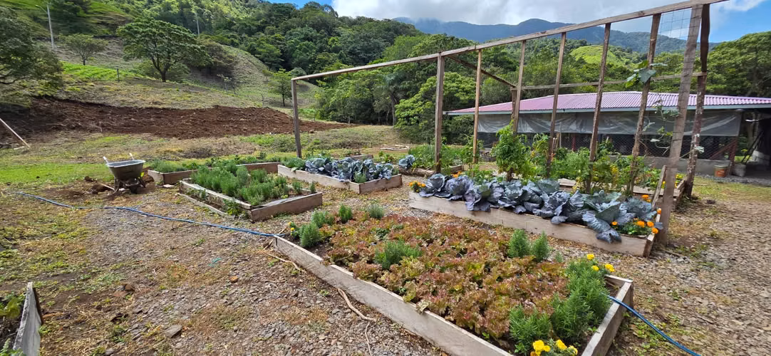VENTA TERRENO CHIRIQUI - Imagen 13