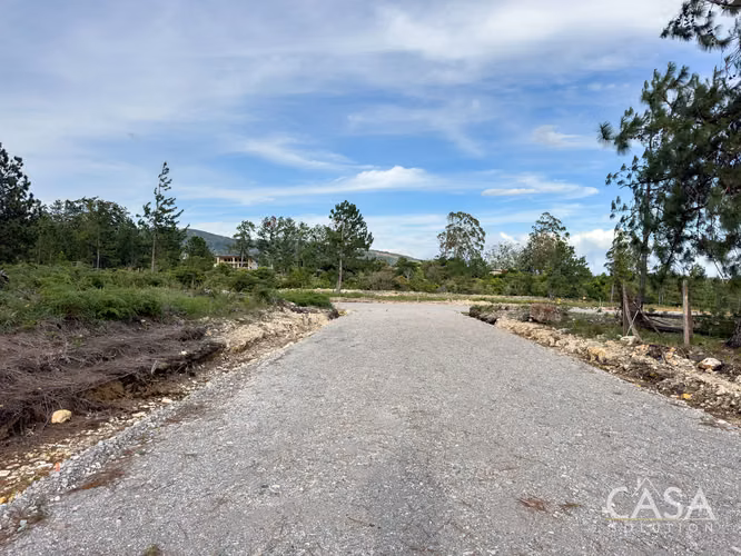 Lote de 2,154 m² con Pinos Maduros en Venta en Alto Boquete - Imagen 15