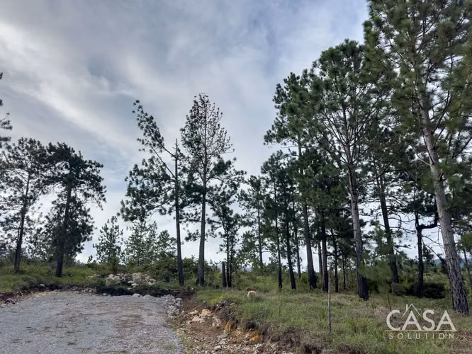 Lote de 2,154 m² con Pinos Maduros en Venta en Alto Boquete - Imagen 13