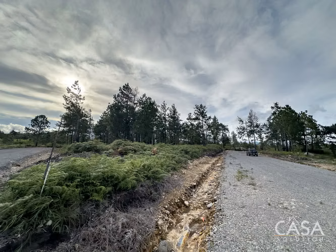Lote de 2,154 m² con Pinos Maduros en Venta en Alto Boquete - Imagen 12