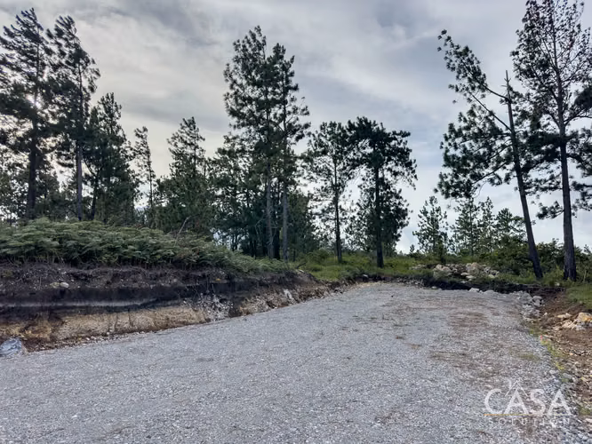 Lote de 2,154 m² con Pinos Maduros en Venta en Alto Boquete - Imagen 11
