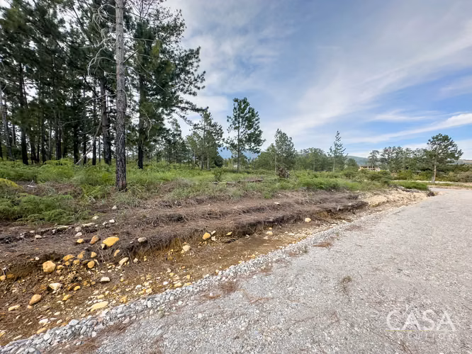 Lote de 2,154 m² con Pinos Maduros en Venta en Alto Boquete - Imagen 16