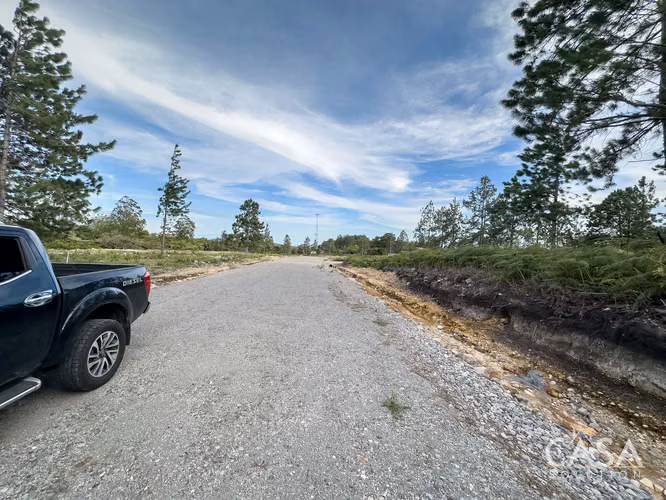 Lote de 2,154 m² con Pinos Maduros en Venta en Alto Boquete - Imagen 6