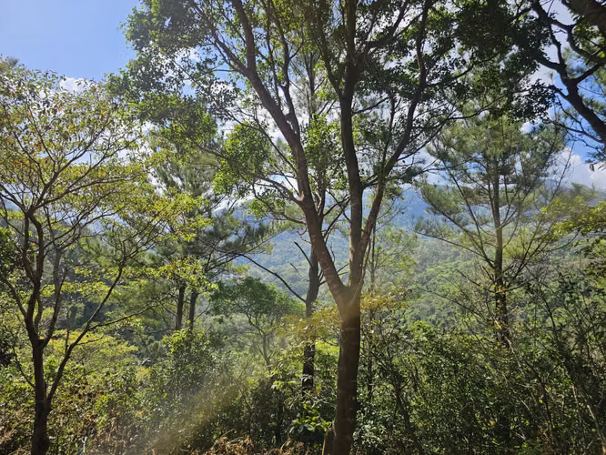 Terreno en Venta en Altos del María 129,000 - Imagen 11