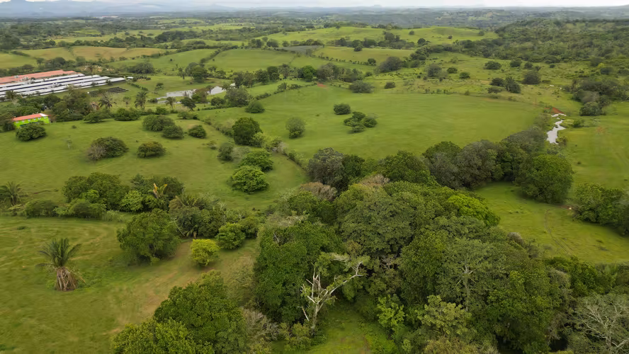 51 HECTÁREAS DE TERRENO! $3,571,715 - Imagen 5