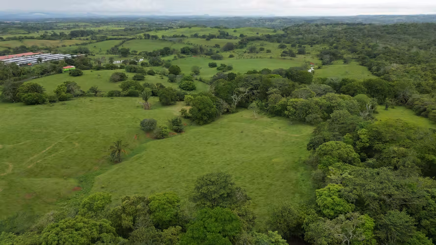51 HECTÁREAS DE TERRENO! $3,571,715 - Imagen 8