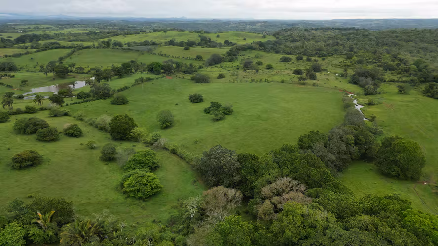 51 HECTÁREAS DE TERRENO! $3,571,715 - Imagen 9