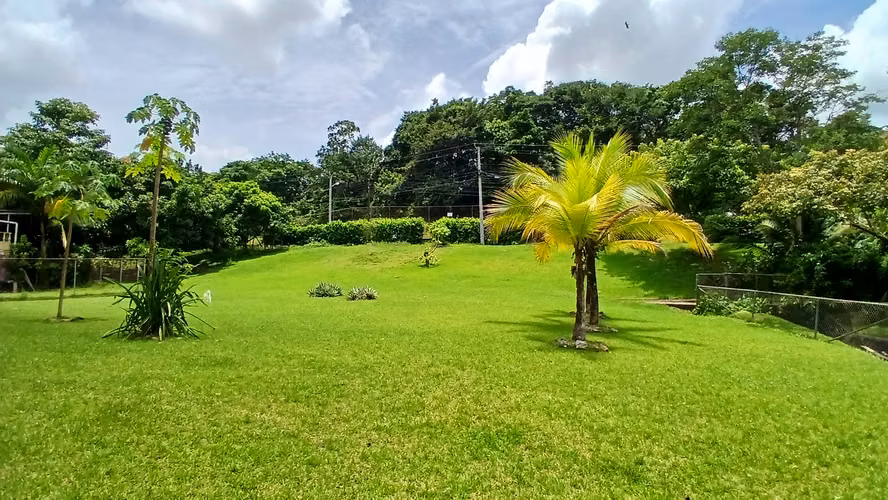 Venta de Casa – Howard, Veracruz - Amplio Jardin - Imagen 7