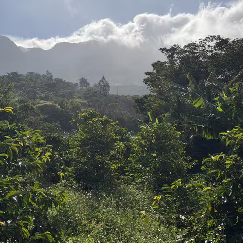 Lotes en Boquete Volcancito - Imagen 8