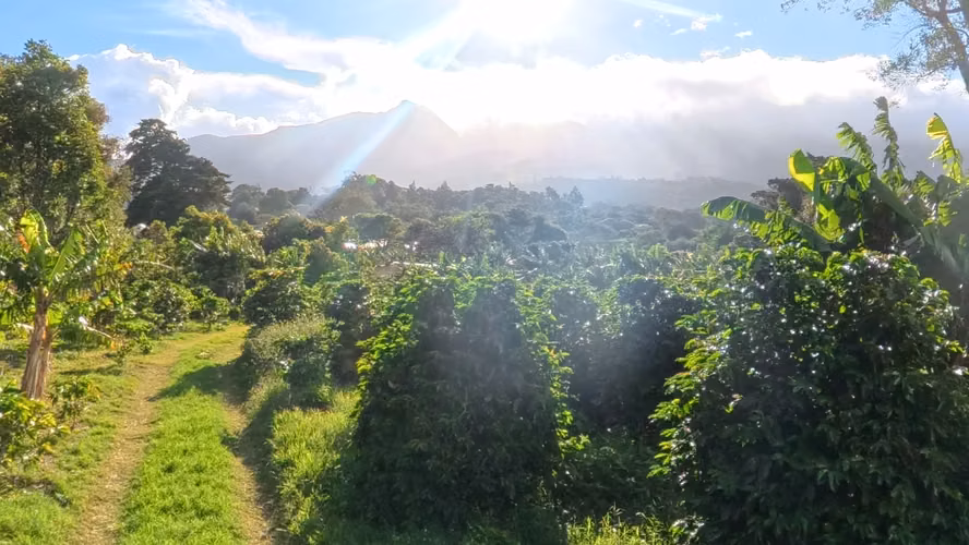 Lotes en Boquete Volcancito - Imagen 9