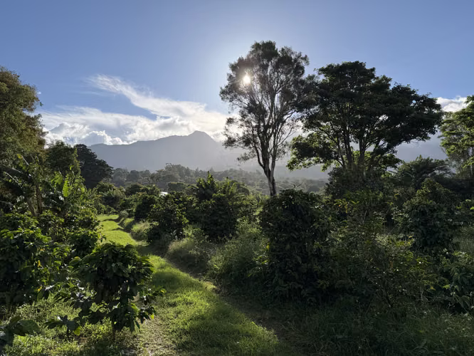 Lotes en Boquete Volcancito