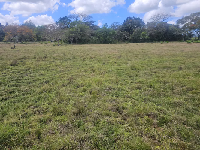 Terreno de 5,000 m² en Capira – Ideal para inversión o vivienda - Imagen 8