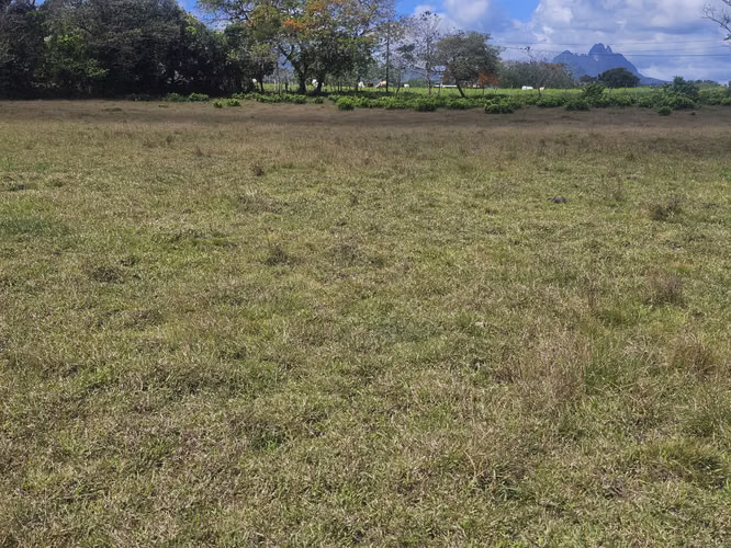 Terreno de 5,000 m² en Capira – Ideal para inversión o vivienda - Imagen 10