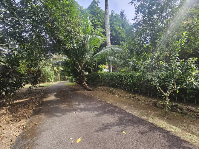 TERRENO EN VENTA EN ÁREAS REVERTIDAS DEL CANAL DE PANAMÁ | 1,221.81 m² | $496,232