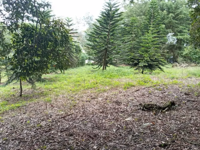 LOTE EN VENTA EN EL CENTRO DE VOLCÁN | JUNTO A COLINAS DE VOLCÁN - Imagen 3