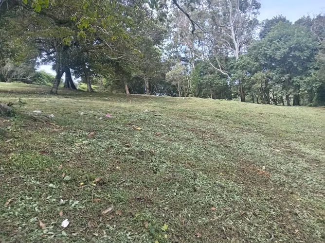 LOTE EN VENTA EN EL CENTRO DE VOLCÁN | JUNTO A COLINAS DE VOLCÁN - Imagen 8