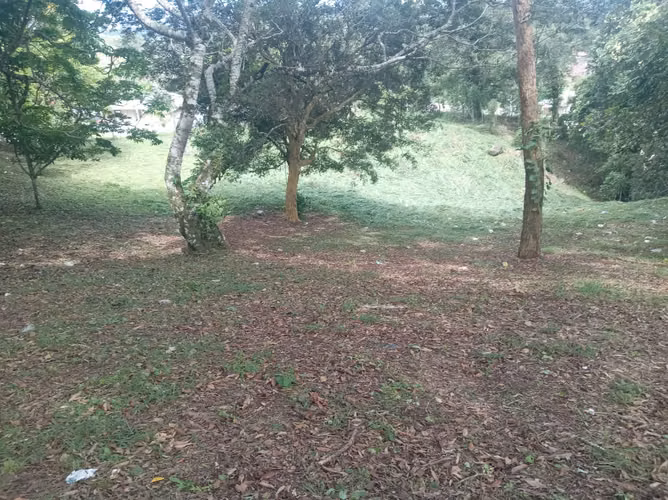 LOTE EN VENTA EN EL CENTRO DE VOLCÁN | JUNTO A COLINAS DE VOLCÁN - Imagen 9