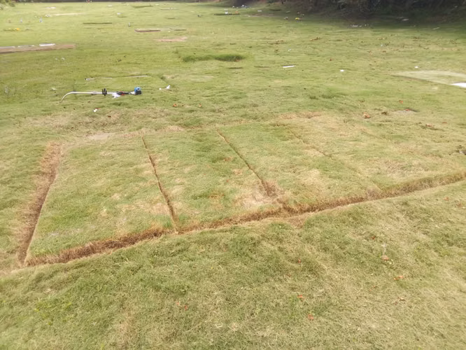Lote Funerario Familiar en venta - Jardín de Paz