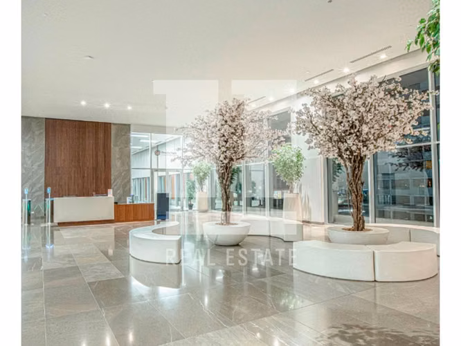 Se Alquila Local de 225.15m2 en PH Dream Plaza, Costa del Este - Imagen 1