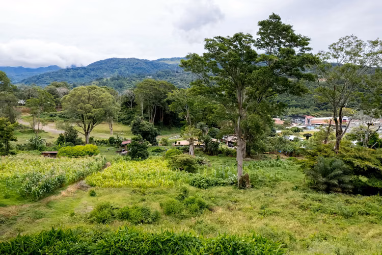 Terreno para desarrollo en Boquete, Panamá - Imagen 5