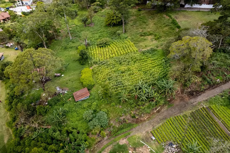 Terreno para desarrollo en Boquete, Panamá - Imagen 4