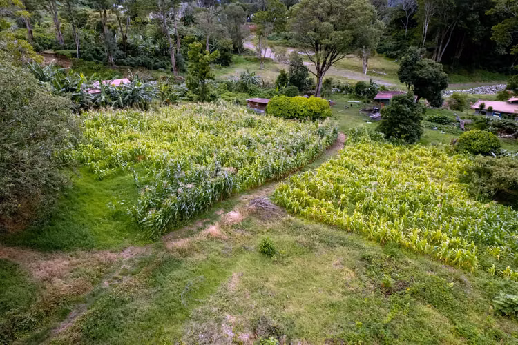 Terreno para desarrollo en Boquete, Panamá - Imagen 7