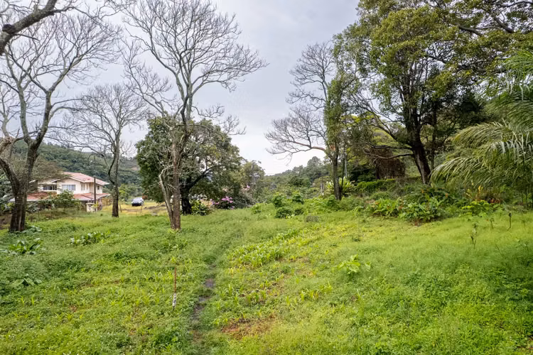 Terreno para desarrollo en Boquete, Panamá - Imagen 13