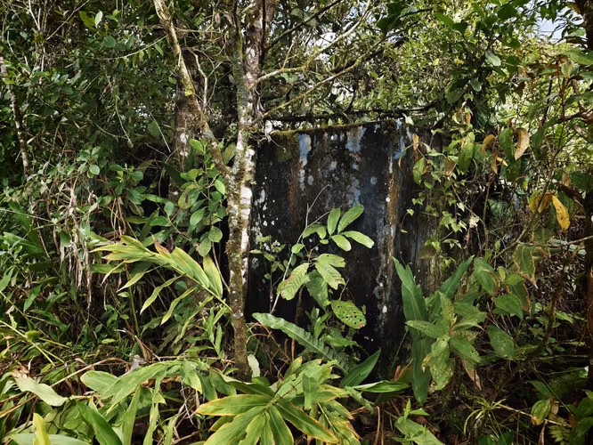 Se Vende RESERVA FORESTAL PRIVADA EN CERRO Azul - Imagen 9