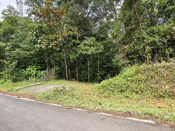 Se Vende RESERVA FORESTAL PRIVADA EN CERRO Azul - Imagen 3